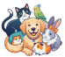 Pet Amber